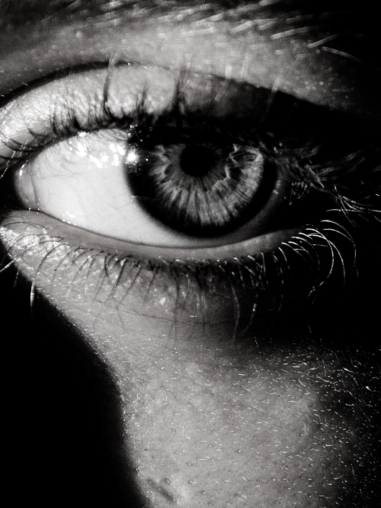 Exclusive timing: close-up grayscale eye with textured iris and long lashes.